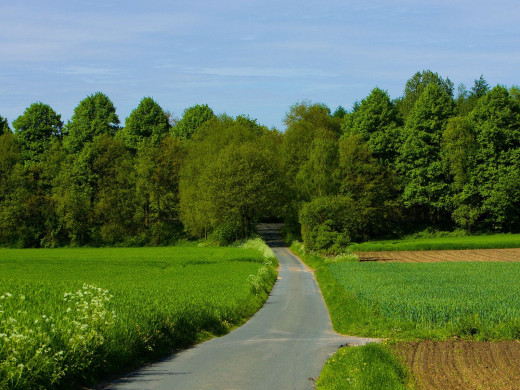 45399 (a): :1600x1200